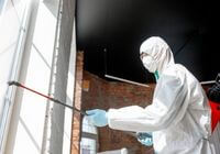 Dedetizadoras em Ibiúna