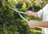 Jardineiros em Ibiúna